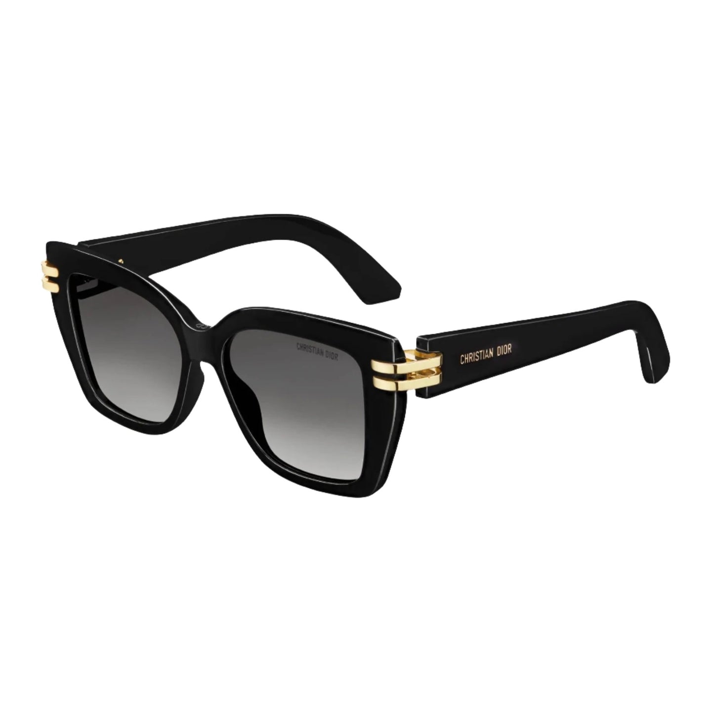 CDior S1I