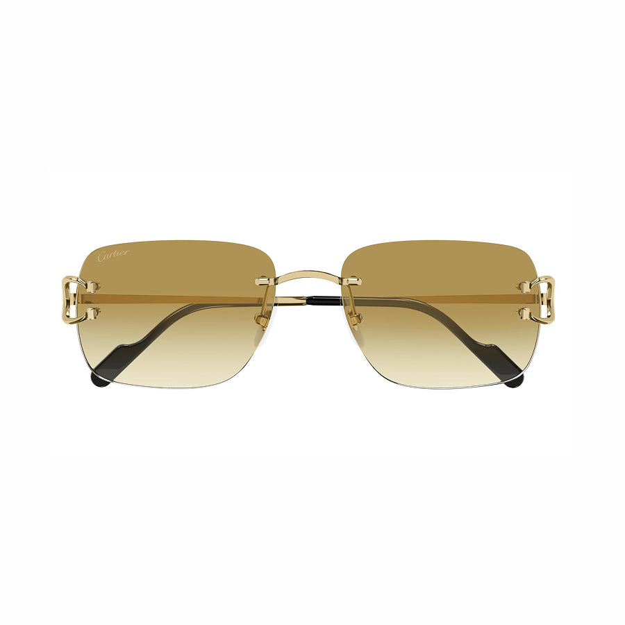 Cartier - CT0330S 003