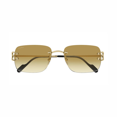 Cartier - CT0330S 003