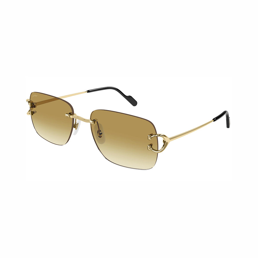 Cartier - CT0330S 003