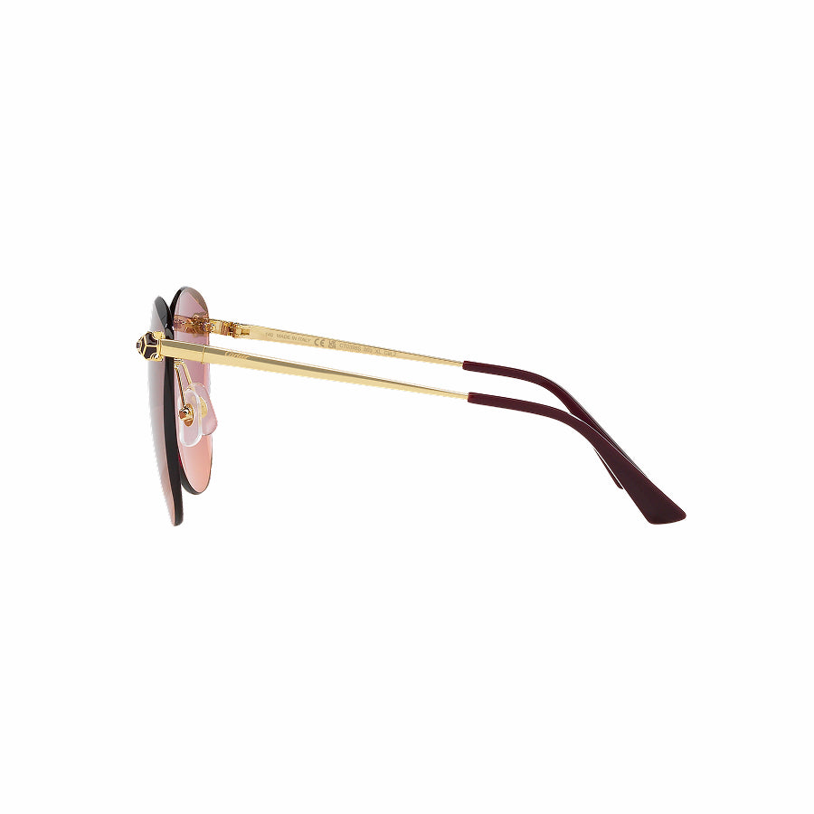 Cartier - CT0398S 003