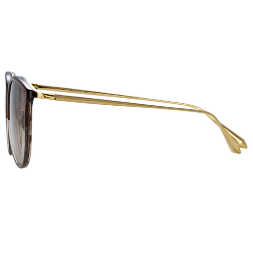Calthorpe Oval Sunglasses in Caramel Horn - LFL251C96SUN